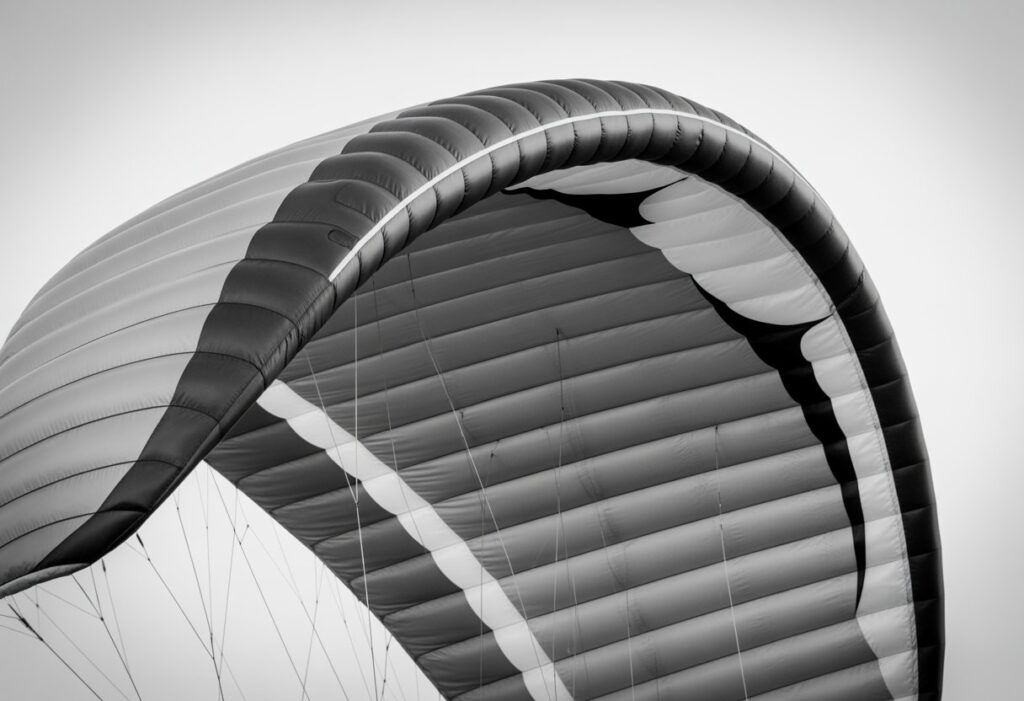 Close-up image of an acro wing showing its smooth, curved shape and detailed feather texture against a plain background.